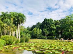 -中国科学院西双版纳热带植物园