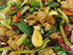蜀香辣肥肠-老蜀人川菜馆(中关村店)