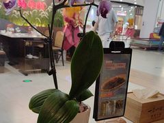 -一叶一世界·素食餐厅(锦华万达店)