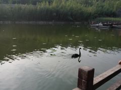 -白鹿原影视城