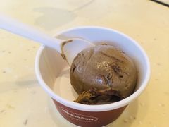 -哈根达斯(龙湖时代天街店)