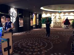 -万达影城(汉街万达广场IMAX店)