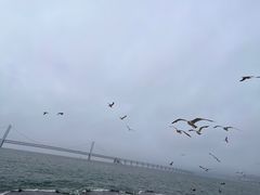 -星海广场