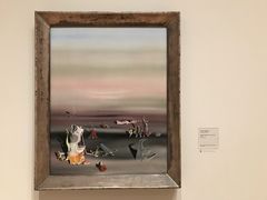 -旧金山现代艺术博物馆