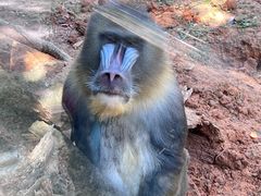 -福州动物园