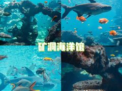 -长鹿旅游休博园