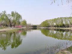 -大兴滨河森林公园