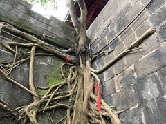 -涞滩古镇
