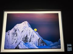 -罗红摄影艺术馆