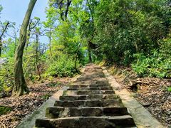 -岳麓山风景名胜区