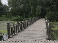 -长白岛森林公园