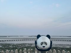 -南汇嘴观海公园