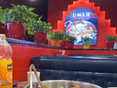 -骨气鼓气羊棒骨·羊蝎子(住总万科广场店)