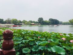 -小王府(什刹海店)