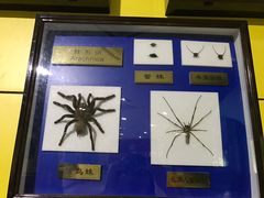 -上海昆虫博物馆