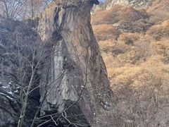 -少华山国家森林公园