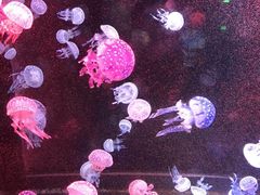 -烟台海昌鲸鲨海洋公园