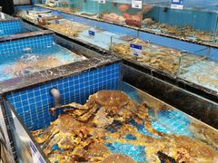 水产区-宁海食府·涌宴(真和店)