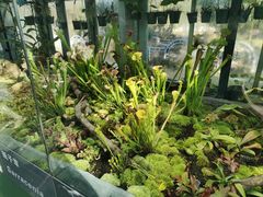 -国家植物园南园