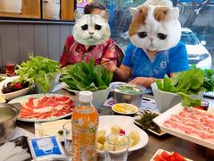 -健晟星期天火锅(河东店)