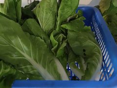 -七采菌园·野生菌石锅鱼(环城北路店)
