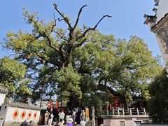 -新安江山水画廊风景区