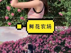 -上海山野camping·户外天幕烧烤·团建拓展营地