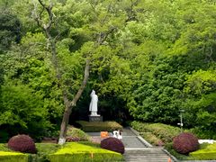 -赭山公园