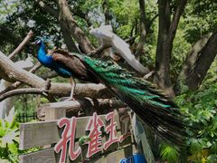-宁波野生动物园