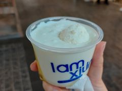 -西琳姑娘·新疆冰淇淋酸奶茶(南开大悦城店)