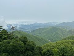 -莫干山风景区