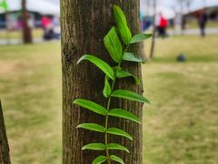 -中国天府农业博览园