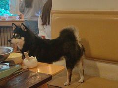 -柴の食堂·日式家庭料理·熊之肆(大学路店)