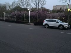 -鸽屋咕咕咕(金銮大厦店)