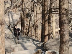 -崂山巨峰游览区