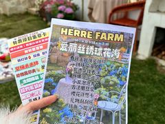 -HERRE·FARM 赫尔露营农场·团建聚会包场