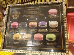 -TWG Tea(台北101购物中心沙龙及精品门市)
