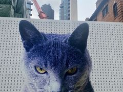 -大馆(前中区警署建築群)