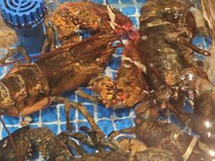 -闽海肴(北辰荟店)