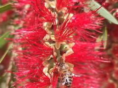 -沙河三洞古桥公园