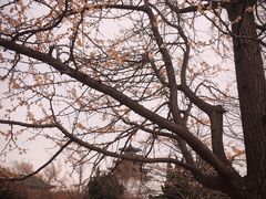 -景福宫