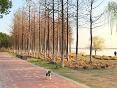 -苏州湾体育公园