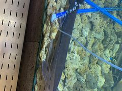 -鲜味食族水产·海鲜餐厅