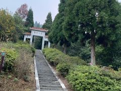 -江西阳明山国家森林公园