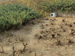 -元大都城垣遗址公园