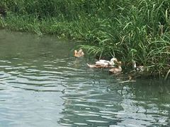 -乡乐园蟹庄·阳澄湖农家乐