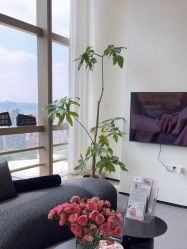 -JNK皮肤管理中心