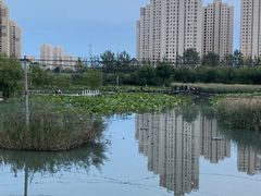 -前关湿地公园