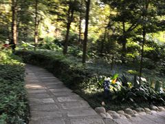 -成都市活水公园