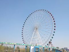 -凤凰欢乐大世界